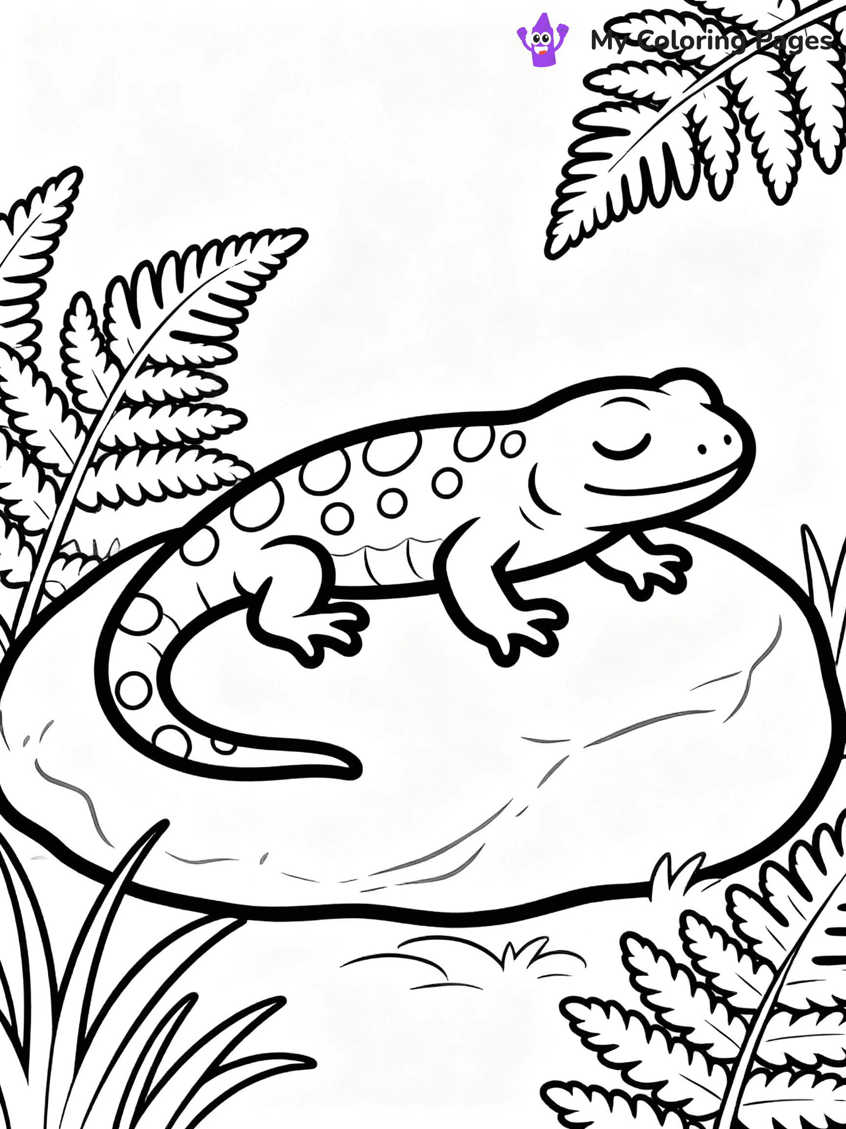 Salamander Coloring Pages - 3