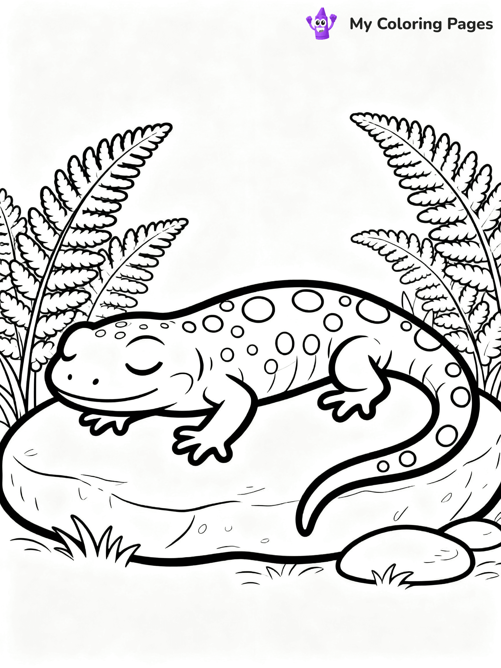 Salamander Coloring Pages - 1