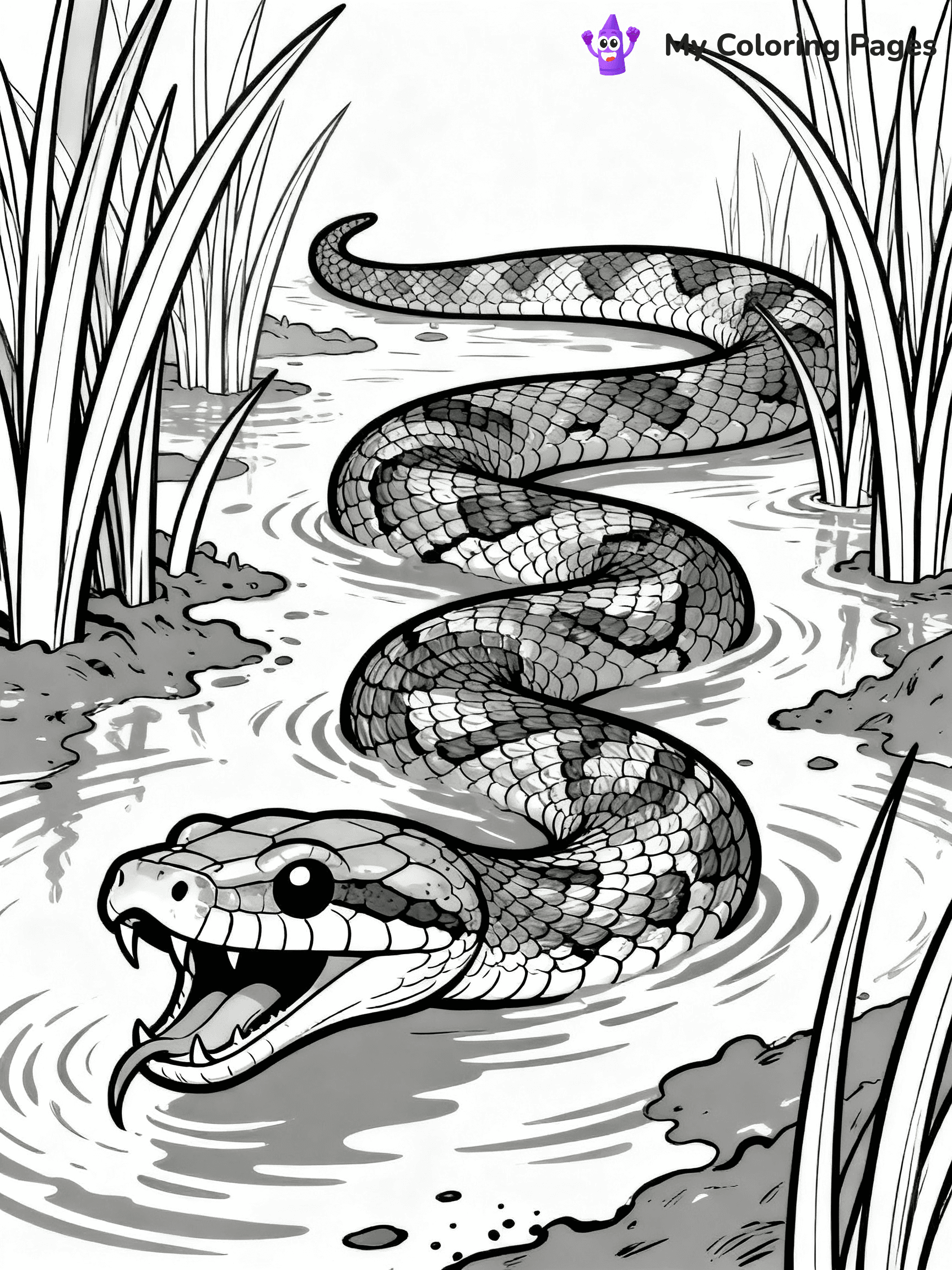 Anaconda Coloring Pages - 23