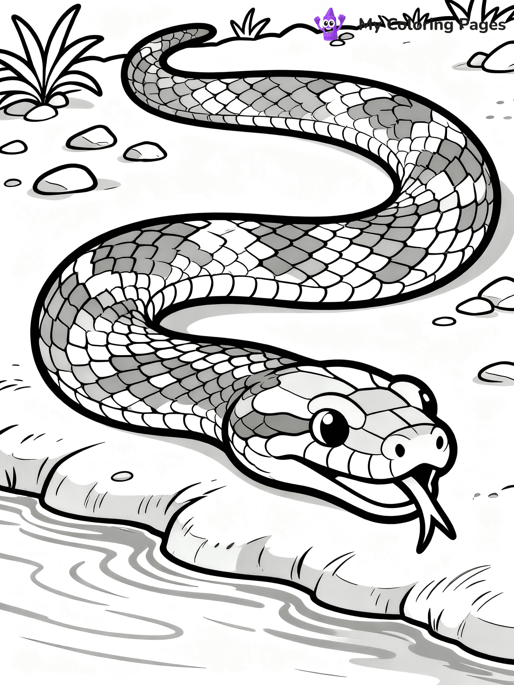 Anaconda Coloring Pages - 14