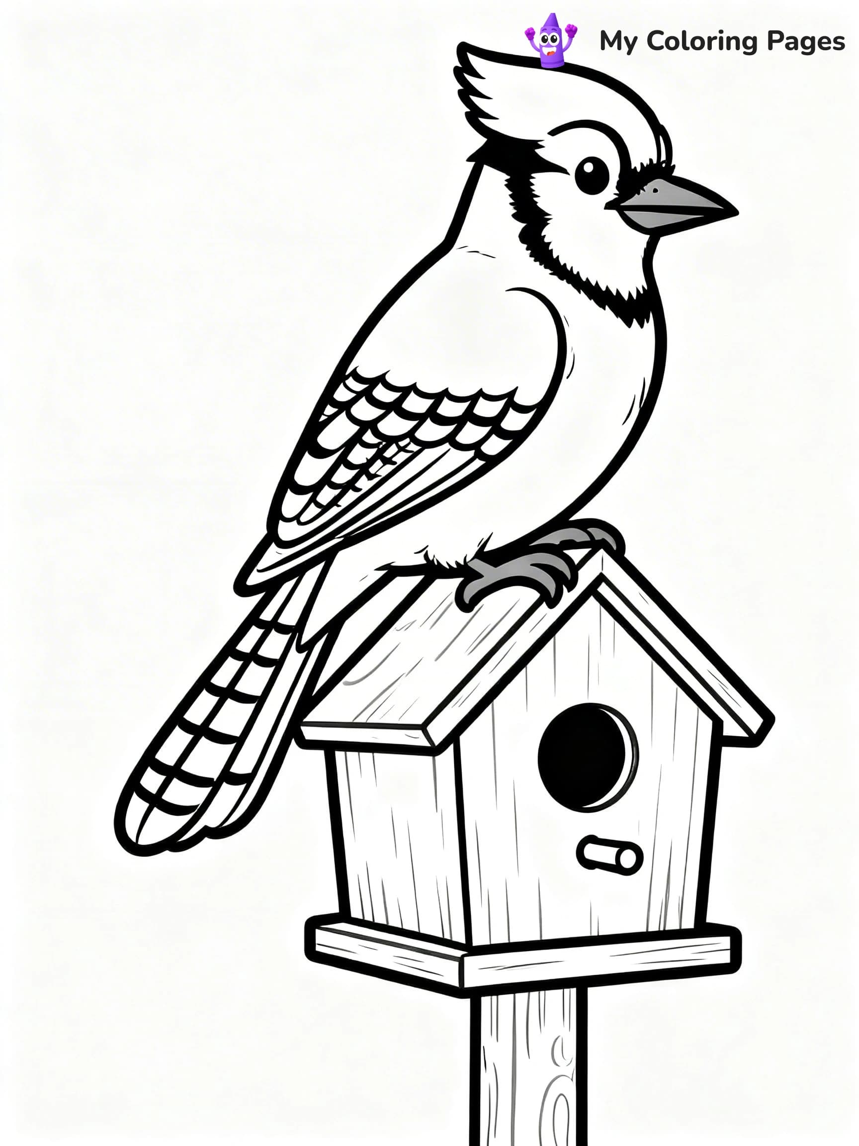 Blue Jay Coloring Pages - 1