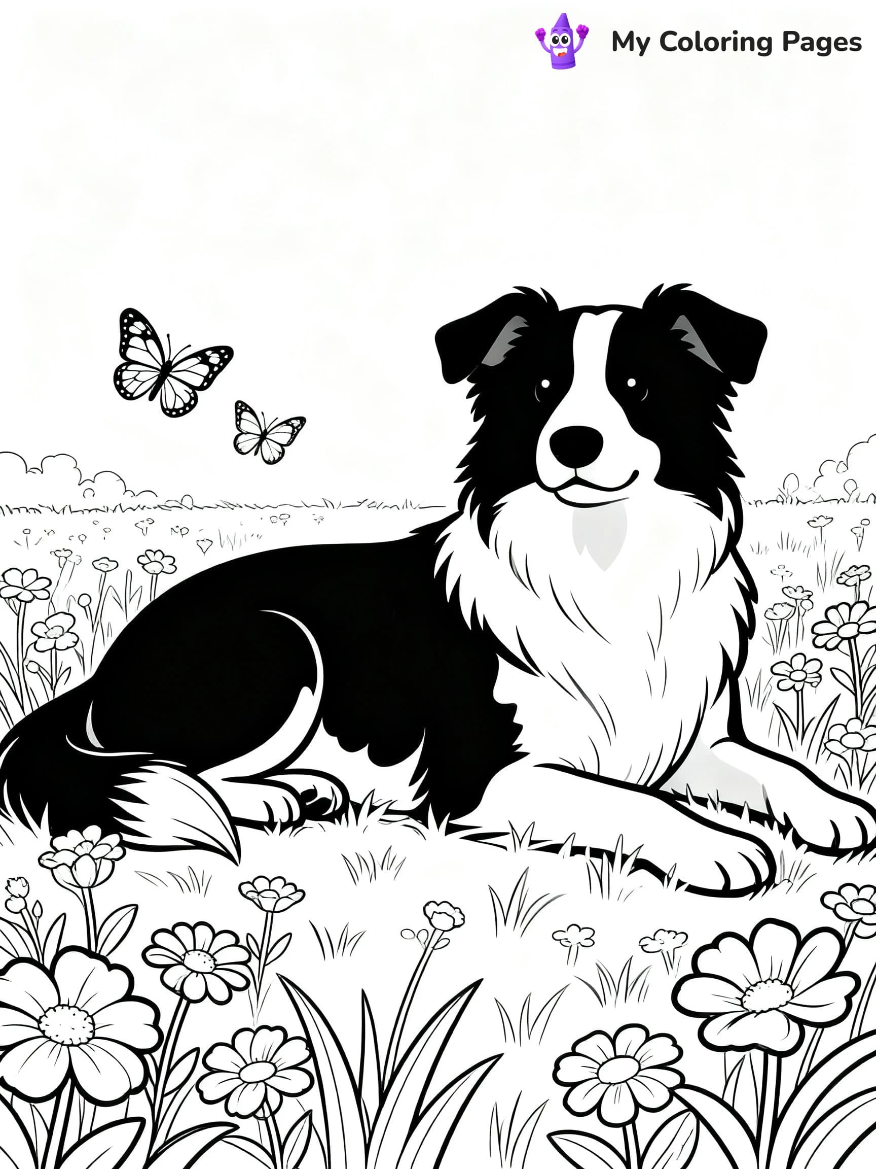 Border Collie Coloring Pages - 20