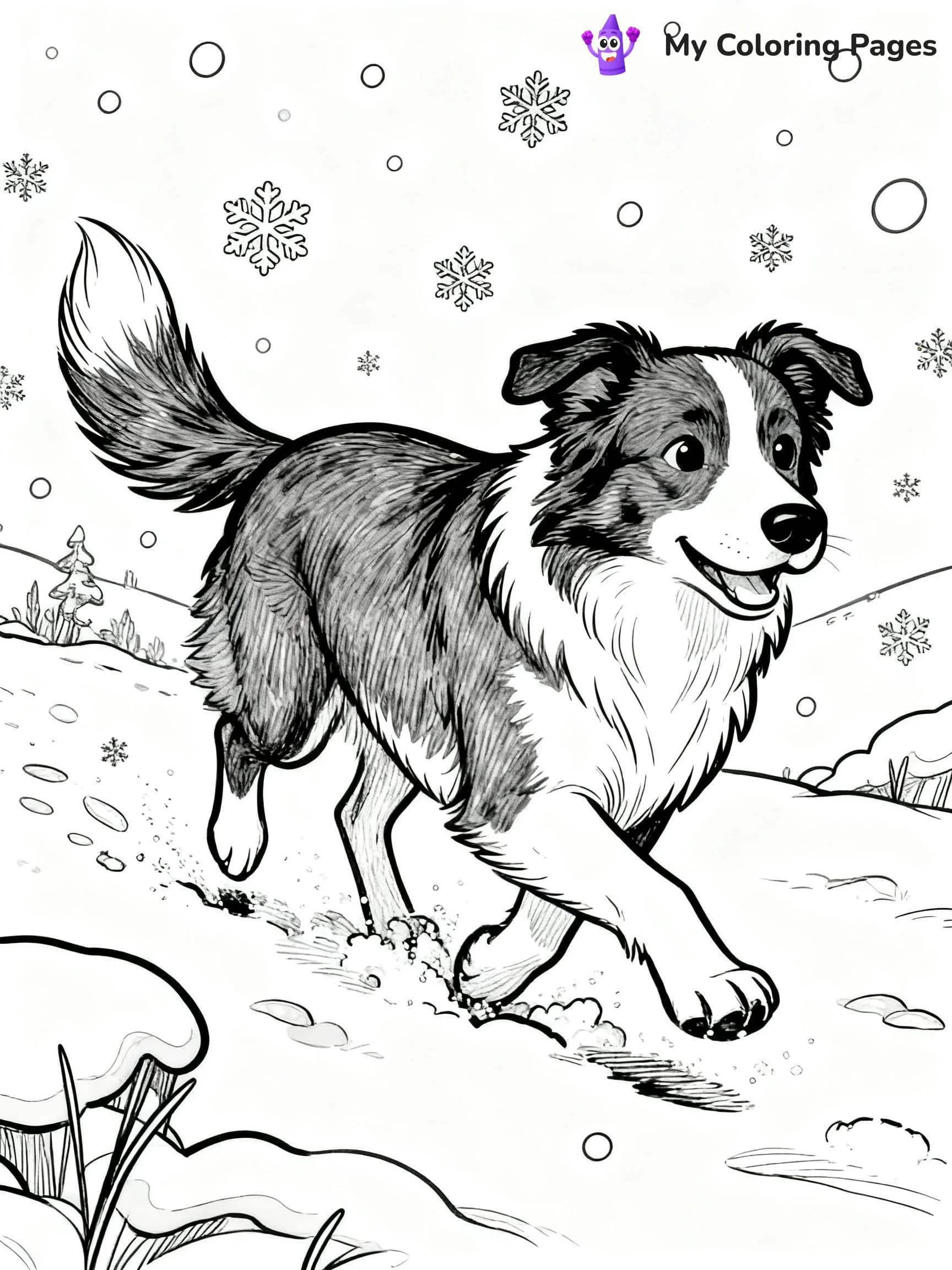 Border Collie Coloring Pages - 8
