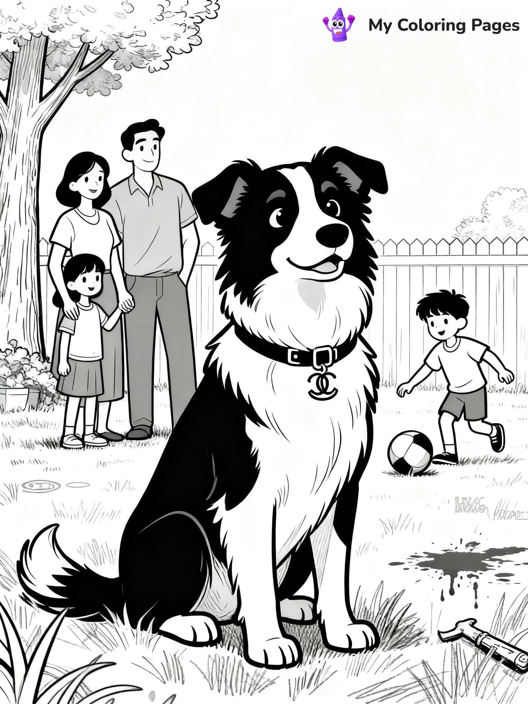 Border Collie Coloring Pages - 1