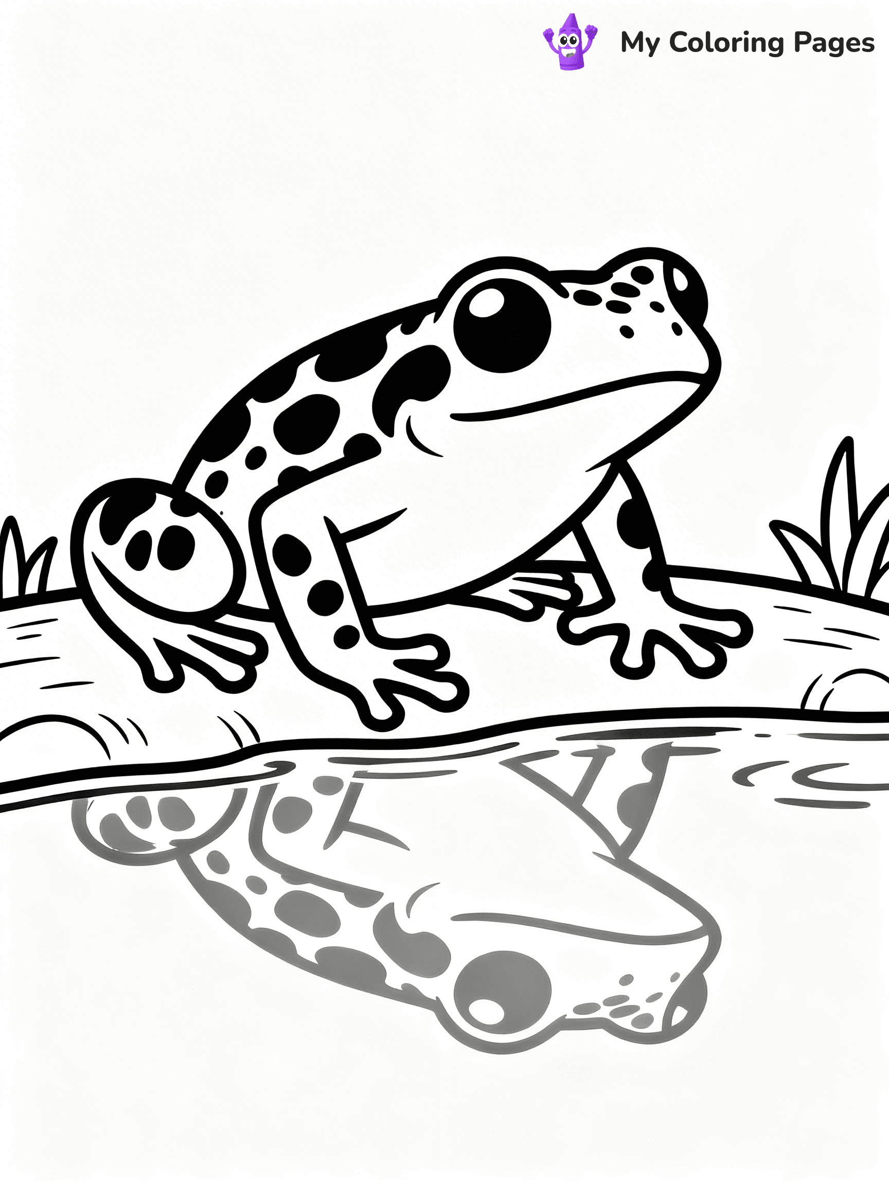 Poison Dart Frog Coloring Pages - 15