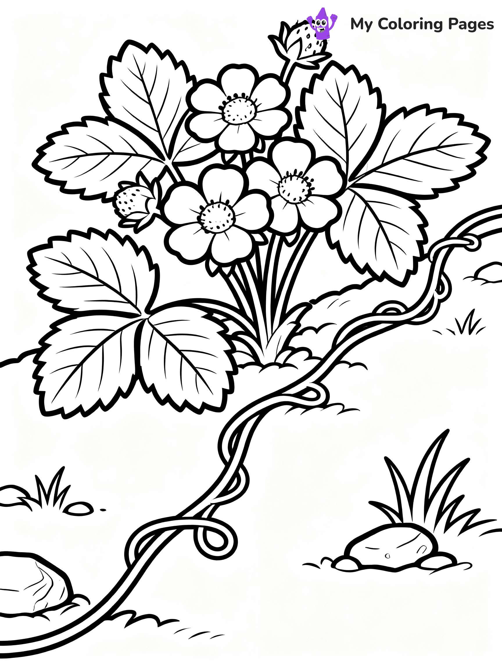 Strawberry Coloring Pages - 30