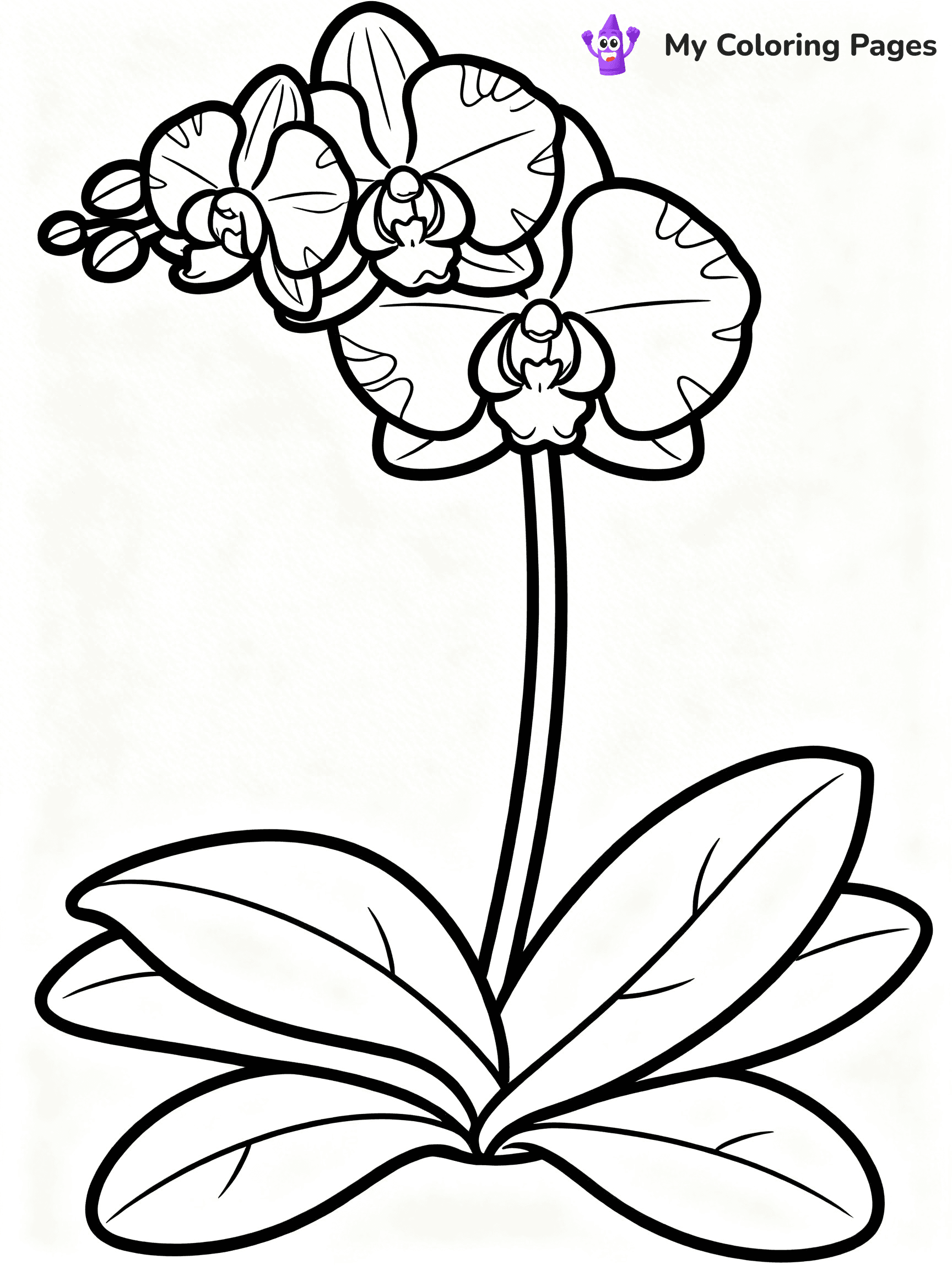 Realistic Flower Coloring Pages - 31