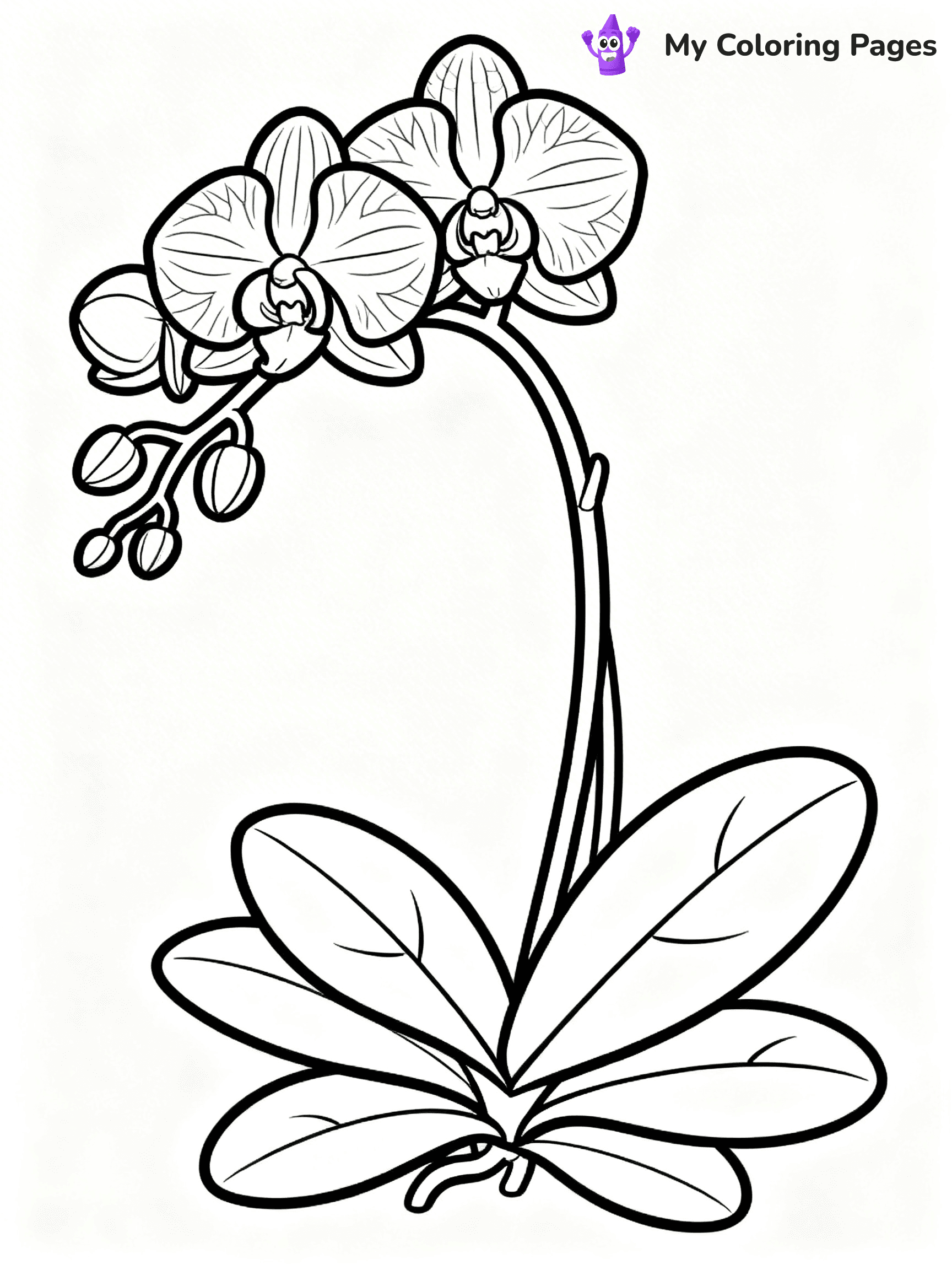 Realistic Flower Coloring Pages - 27