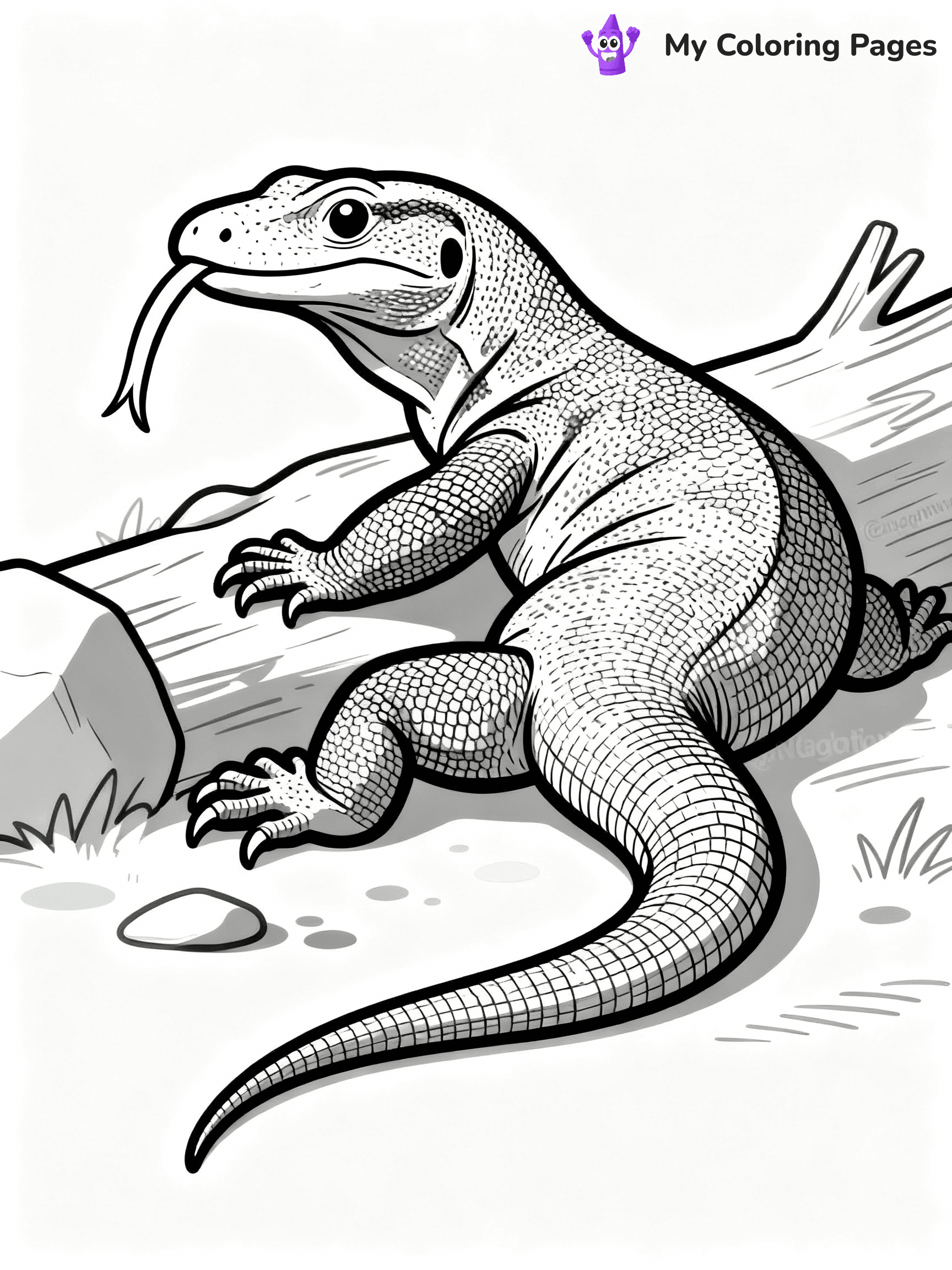 Lizard Coloring Pages - 19