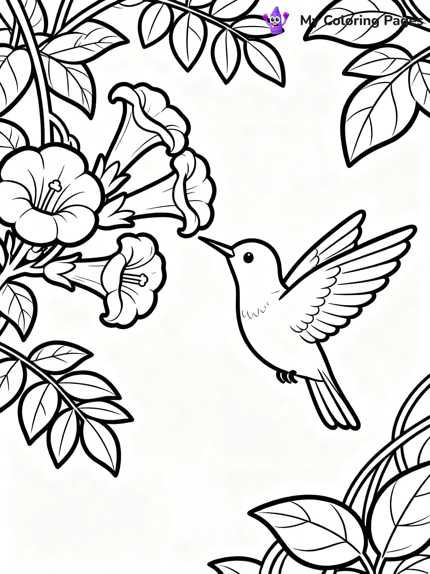 Cute Hummingbird Coloring Pages - 13