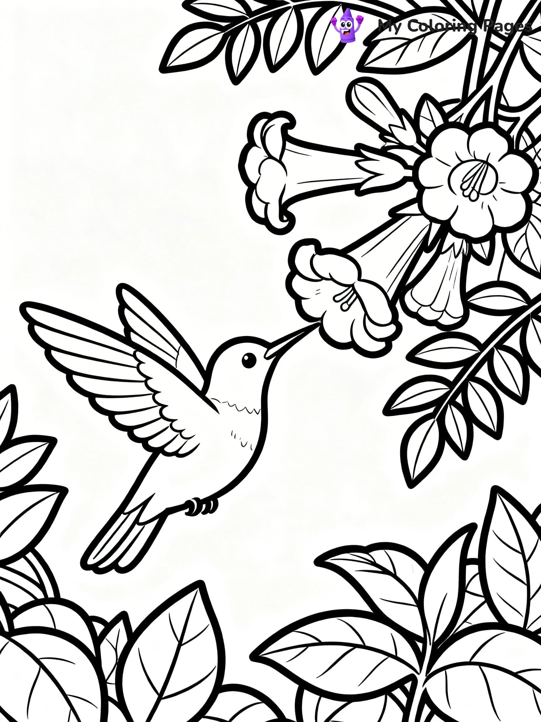 Cute Hummingbird Coloring Pages - 11