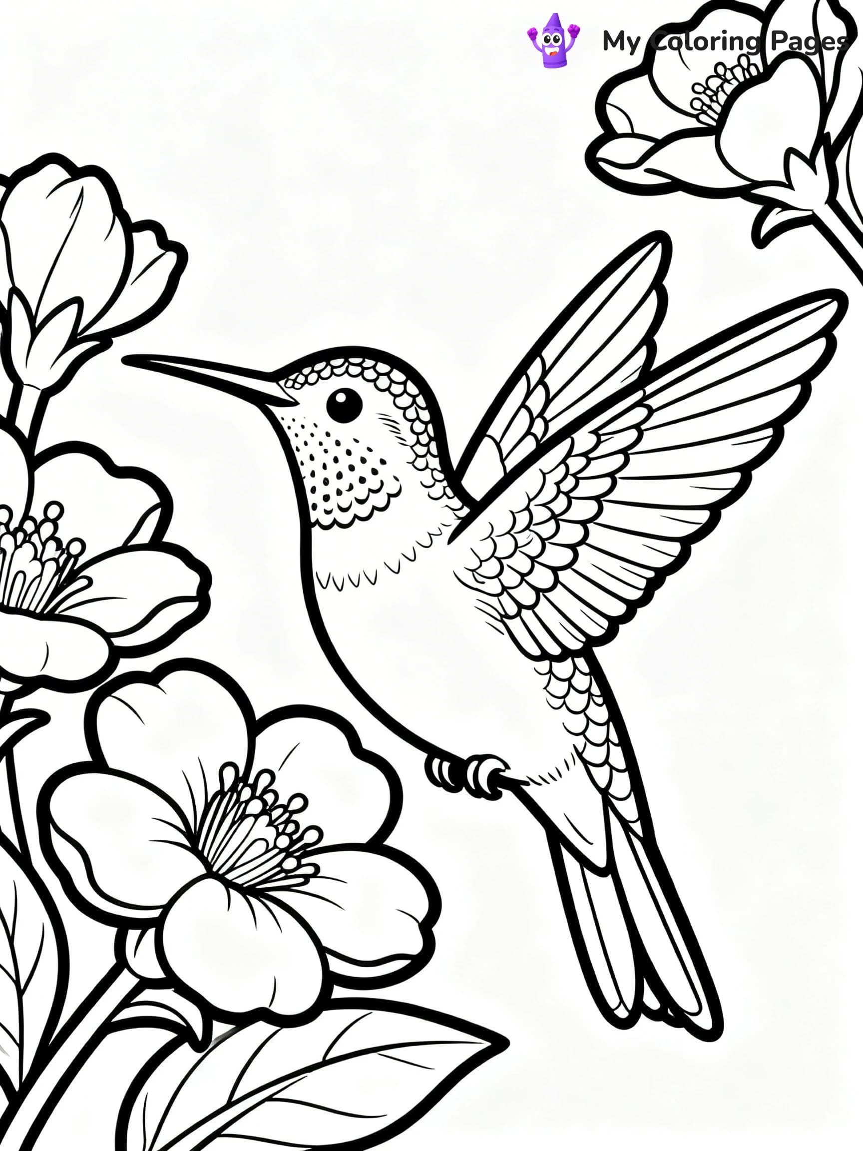 Cute Hummingbird Coloring Pages - 7