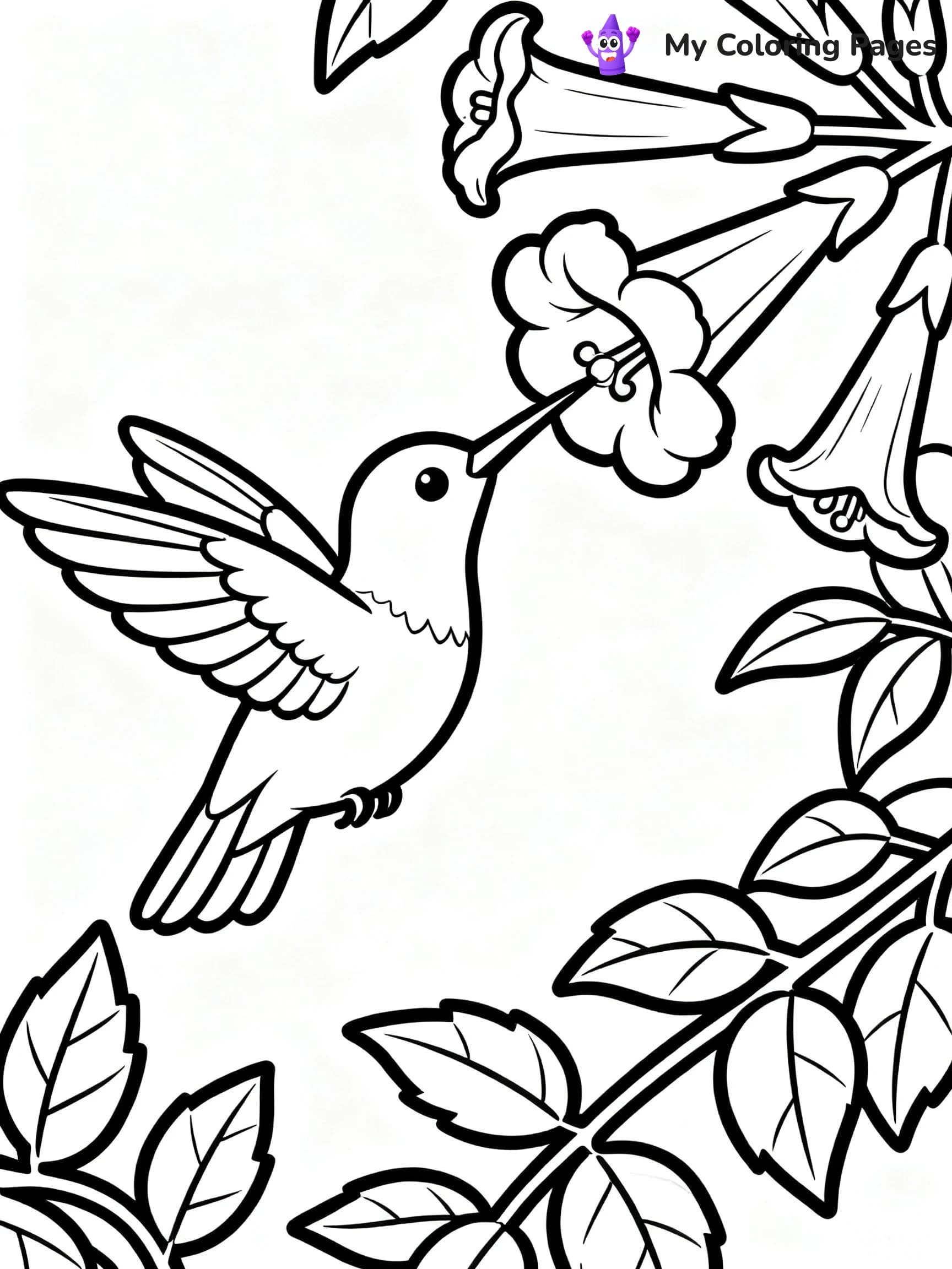 Cute Hummingbird Coloring Pages - 23