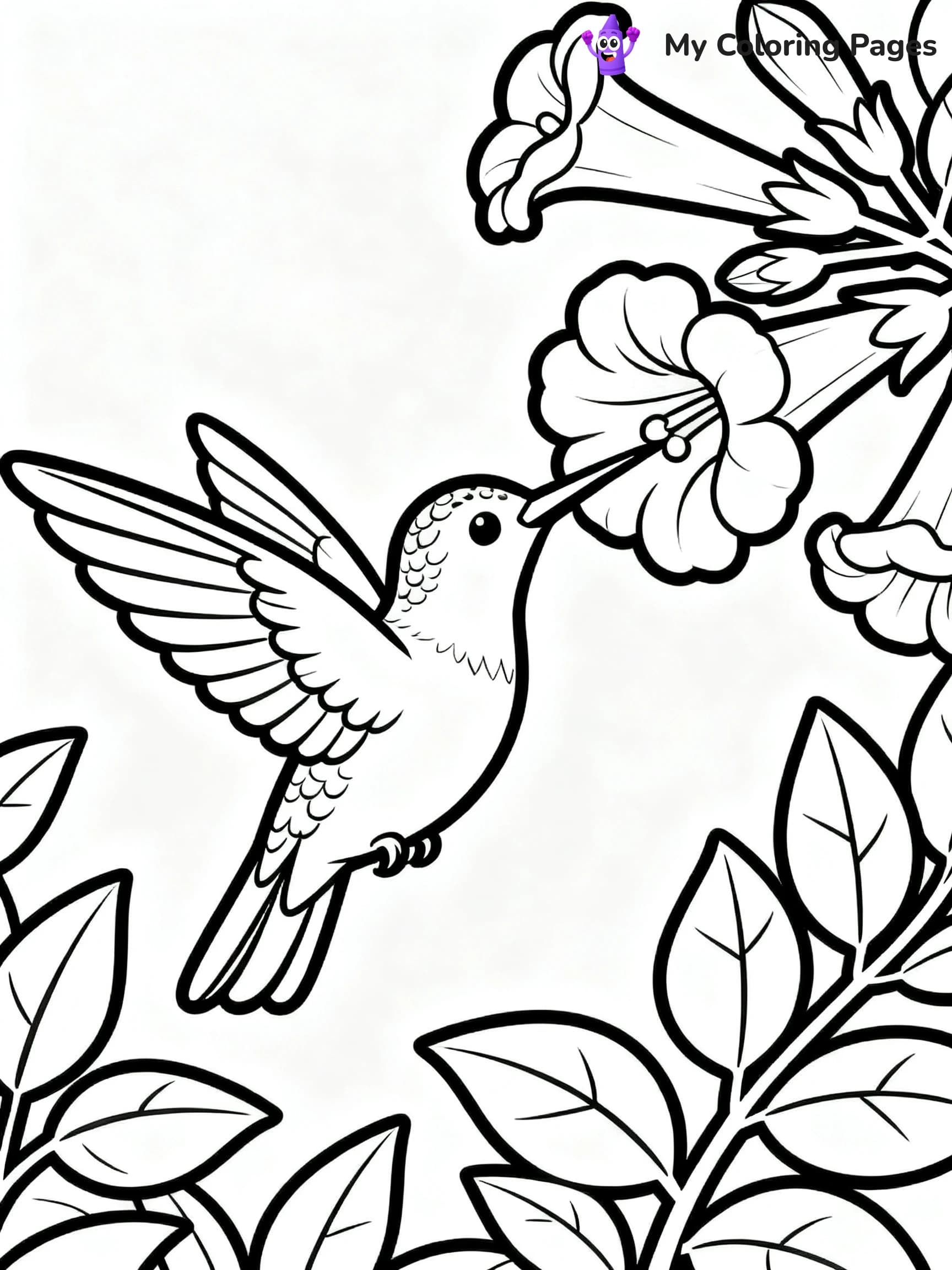 Cute Hummingbird Coloring Pages - 22