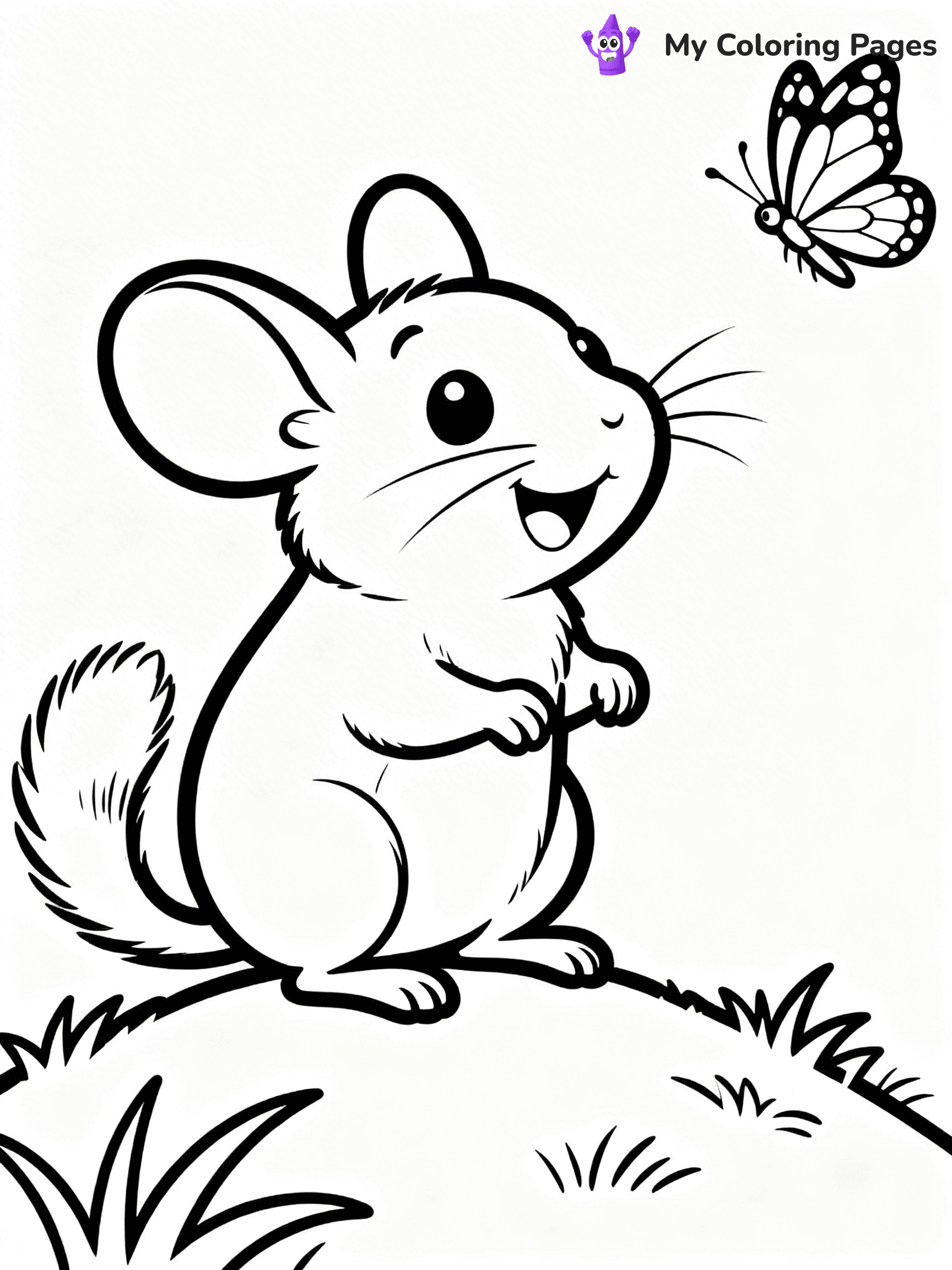 Chinchilla Coloring Pages - 11