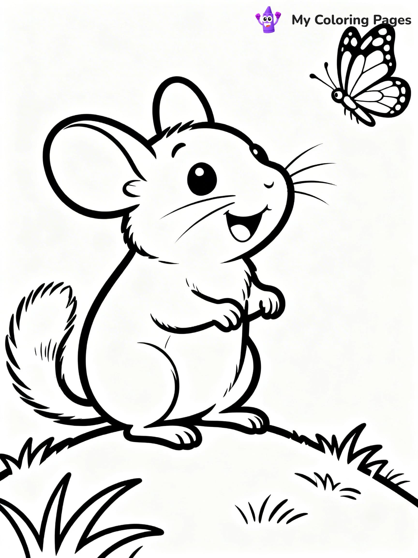 Chinchilla Coloring Pages - 11
